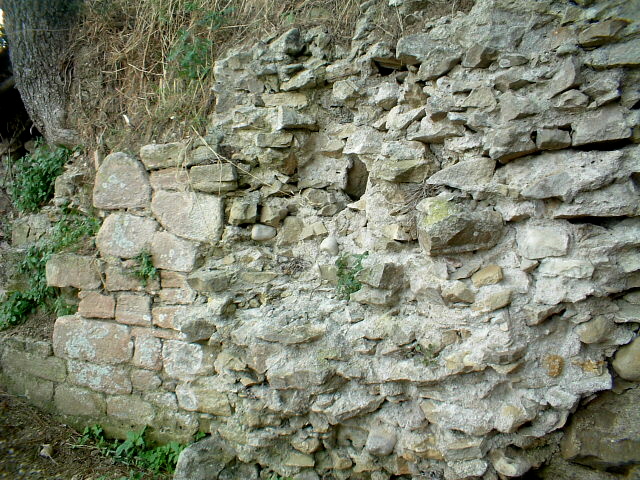 Archeologia a Cupra marittima (Marche)